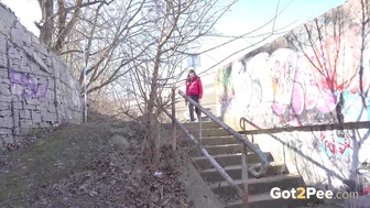 Suburbs Steps
