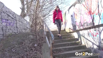 Suburbs Steps
