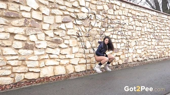 Desperate In The Suburbs