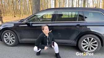 Desperate Driver