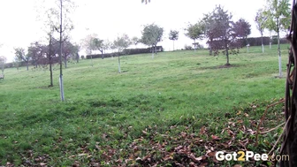 Two Targets