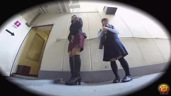 DLEE-202 05 Women lining up to pee in popular public toilet VOL 2, JAV Collection, DesperVids