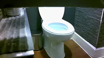 WC, Voyeur Collection, PissRIP